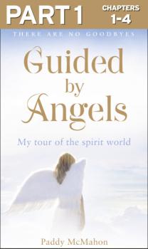 Читать Guided By Angels: Part 1 of 3: There Are No Goodbyes, My Tour of the Spirit World - Paddy McMahon