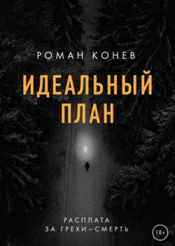 Читать Идеальный план - Роман Конев