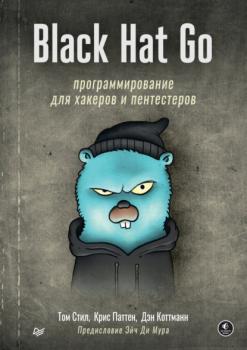 Читать Black Hat Go. Программирование для хакеров и пентестеров (+ epub) - Том Стил