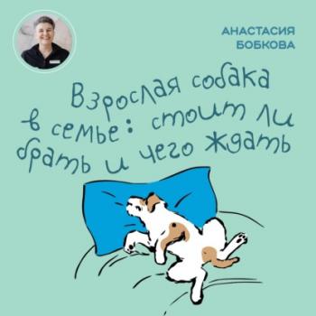 Читать Взрослая собака в семье: стоит ли брать и чего ждать - Анастасия Бобкова