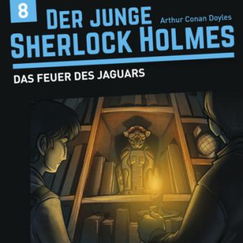 Читать Der junge Sherlock Holmes, Folge 8: Das Feuer des Jaguars - David Bredel