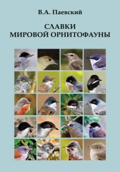 Читать Славки мировой орнитофауны - В. А. Паевский
