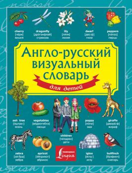 Читать Англо-русский визуальный словарь для детей - Отсутствует