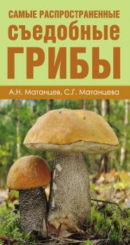 Читать Самые распространенные съедобные грибы - Александр Матанцев
