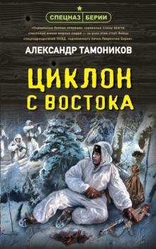 Читать Циклон с востока - Александр Тамоников