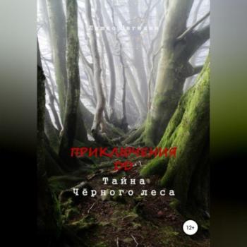 Читать Приключения ДД. Тайна Чёрного леса - Евгения Ляшко