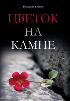 Читать Цветок на камне - Владимир Кузаков