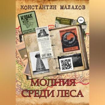 Читать Молния среди леса - Константин Константинович Малахов