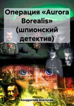 Читать Операция «Aurora Borealis» (шпионский детектив) - Анатолий Васильевич Кондратьев