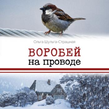 Читать Воробей на проводе - Ольга Шульга-Страшная