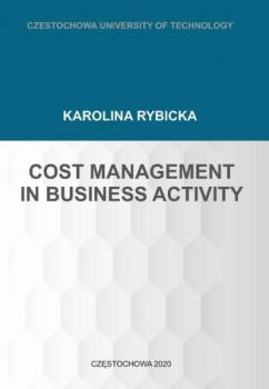 Читать Cost Management in Business Activity - Karolina Rybicka