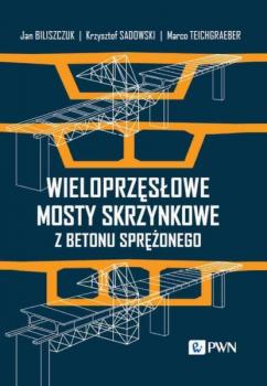 Читать Wieloprzęsłowe mosty skrzynkowe z betonu sprężonego - Krzysztof Sadowski