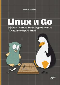 Читать Linux и Go. Эффективное низкоуровневое программирование - Олег Цилюрик