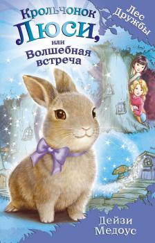 Читать Крольчонок Люси, или Волшебная встреча - Дейзи Медоус