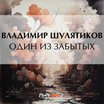 Читать Один из забытых - Владимир Михайлович Шулятиков