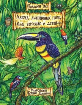 Читать Азбука диковинных птиц. Для взрослых и детей - Владимир Орсо