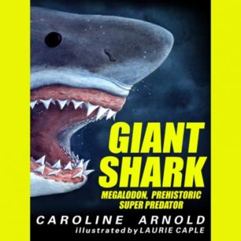 Читать Giant Shark - Megalodon, Prehistoric Predator (Unabridged) - Кэролайн Арнольд