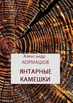 Читать Янтарные камешки - Александр Кормашов