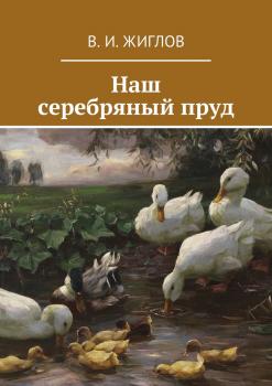 Читать Наш серебряный пруд - Валерий Жиглов