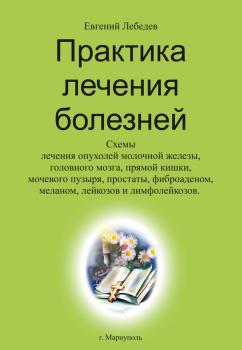 Читать Практика лечения болезней - Евгений Лебедев
