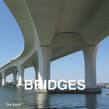 Читать Bridges - Victoria Charles