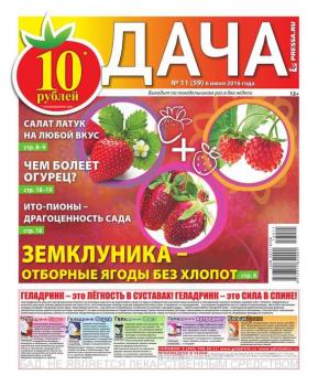 Читать Дача Pressa.ru 11-2016 - Редакция газеты Дача Pressa.ru