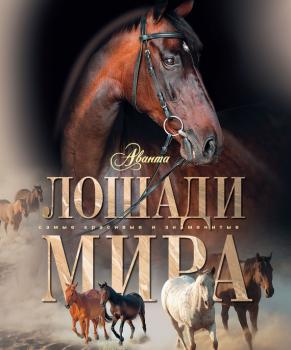 Читать Лошади мира - Карина Кищук
