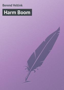 Читать Harm Boom - Berend Veltink