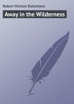 Читать Away in the Wilderness - Robert Michael Ballantyne