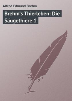 Читать Brehm’s Thierleben: Die Säugethiere 1 - Alfred Edmund Brehm