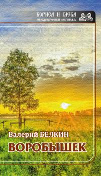 Читать Воробышек - Валерий Белкин