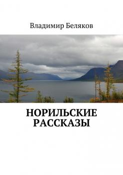 Читать Норильские рассказы - Владимир Васильевич Беляков