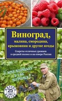 Читать Виноград, малина, смородина, крыжовник и другие ягоды - Виктор Жвакин