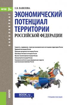 Читать Экономический потенциал территории Российской Федерации - Елена Вавилова