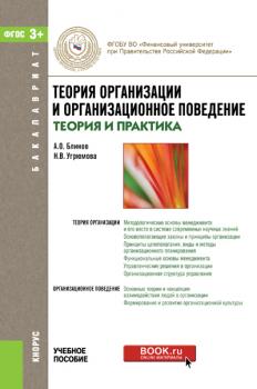 Читать Теория организации и организационное поведение (теория и практика) - Андрей Блинов
