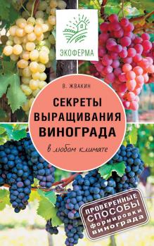Читать Секреты выращивания винограда в любом климате. Проверенные способы формировки винограда - Виктор Жвакин