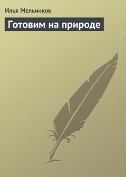 Читать Готовим на природе - Илья Мельников