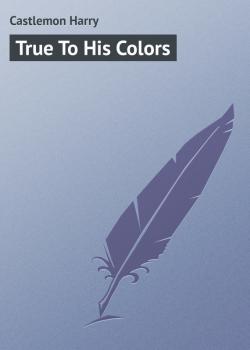 Читать True To His Colors - Castlemon Harry