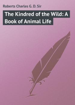 Читать The Kindred of the Wild: A Book of Animal Life - Roberts Charles G. D.