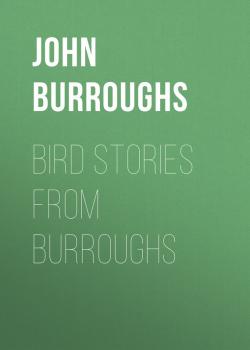Читать Bird Stories from Burroughs - John Burroughs