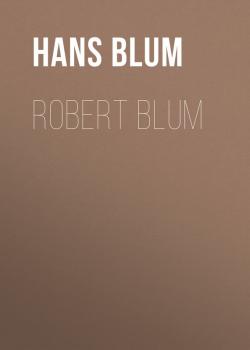 Читать Robert Blum - Blum Hans