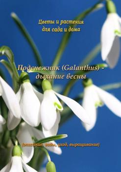 Читать Подснежник (Galanthus) – дыхание весны - Федор Кольцов