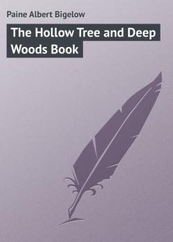 Читать The Hollow Tree and Deep Woods Book - Paine Albert Bigelow