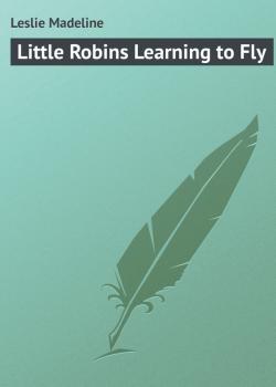Читать Little Robins Learning to Fly - Leslie Madeline
