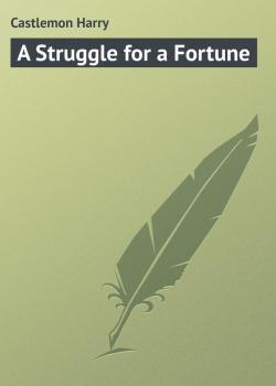 Читать A Struggle for a Fortune - Castlemon Harry