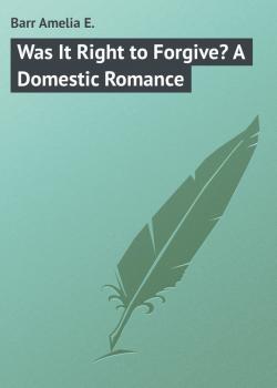 Читать Was It Right to Forgive? A Domestic Romance - Barr Amelia E.