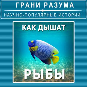 Читать Как дышат рыбы - Анатолий Стрельцов