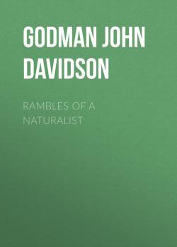 Читать Rambles of a Naturalist - Godman John Davidson