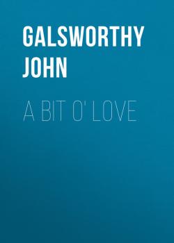 Читать A Bit O' Love - Galsworthy John