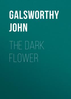 Читать The Dark Flower - Galsworthy John